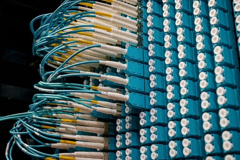 Fiber optic patch cables connected to a blue network patch panel
